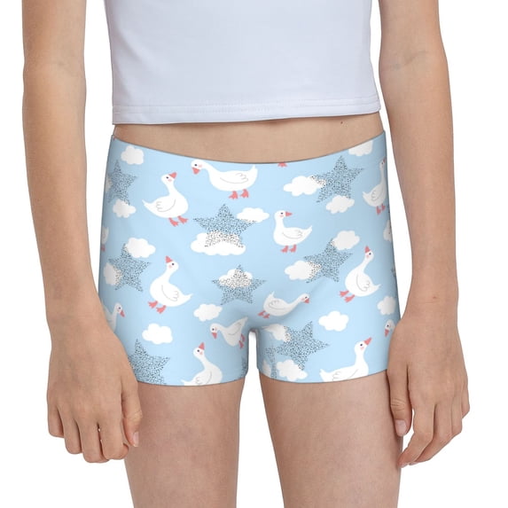 Rocae Cute Goose On A Blue Sky for Girls' Cotton Boxer Briefs, Soft Mid-rise Panties-X-Large