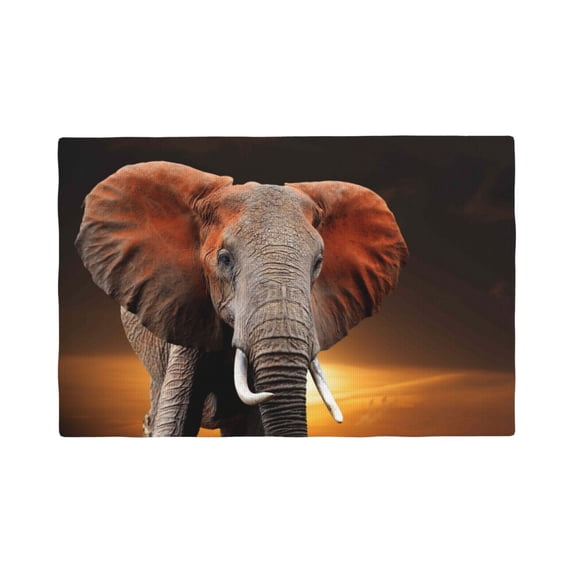 Rocae Elephant Sunset in Kenya Printed Heat Resistant Place Mats,Classic Hemstitch Cloth Fabric Placemats Imitation Linen Place Mat Table Mats 18x12 inch