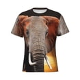 thumbnail image 1 of Rocae Elephant Sunset in Kenya for Men's Moisture-Wicking Crew Tee - T-Shirt for Sports, Outdoor Activities, and Casual Wear3X-Large, 1 of 9