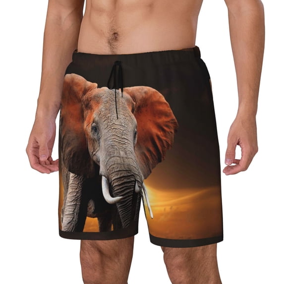 Rocae Elephant Sunset in Kenya for Men's Swim Trunks Quick Dry With Two Side Pockets and One Lined Patch Pocket3X-Large