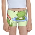thumbnail image 1 of Rocae Frog Amanita Mushroom for Girls' Cotton Boxer Briefs, Soft Mid-rise Panties-XX-Small, 1 of 5