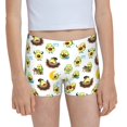 thumbnail image 1 of Rocae Funny Avocado In Mexican Clothes for Girls' Cotton Boxer Briefs, Soft Mid-rise Panties-XX-Small, 1 of 5