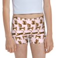 thumbnail image 1 of Rocae Leopard Print for Girls' Cotton Boxer Briefs, Soft Mid-rise Panties-Large, 1 of 5