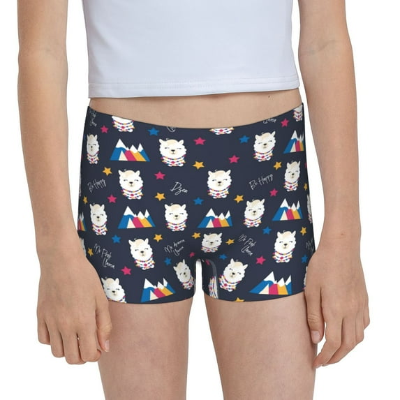 Rocae Llamas 1 for Girls' Cotton Boxer Briefs, Soft Mid-rise Panties-X-Large