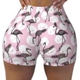 thumbnail image 1 of Rocae Pineapple Flamingo for Women's Quick-Dry Running Shorts,Ladies Active Athletic Apparel Yoga Workout Gym Running Volleyball Spandex Shorts Large, 1 of 9