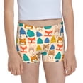 thumbnail image 1 of Rocae Small Animals with Knit Hat Pattern for Girls' Cotton Boxer Briefs, Soft Mid-rise Panties-Large, 1 of 5