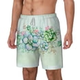 thumbnail image 1 of Rocae Succulent for Men's Swim Trunks Quick Dry With Two Side Pockets and One Lined Patch Pocket3X-Large, 1 of 9