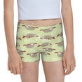 thumbnail image 1 of Rocae Twig Sloth for Girls' Cotton Boxer Briefs, Soft Mid-rise Panties-Small, 1 of 5
