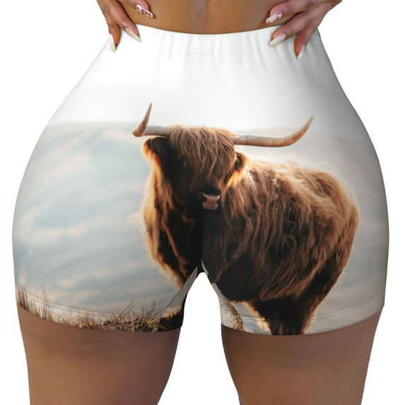 Rocae Yak for Women's Quick-Dry Running Shorts,Ladies Active Athletic Apparel Yoga Workout Gym Running Volleyball Spandex Shorts X-Large