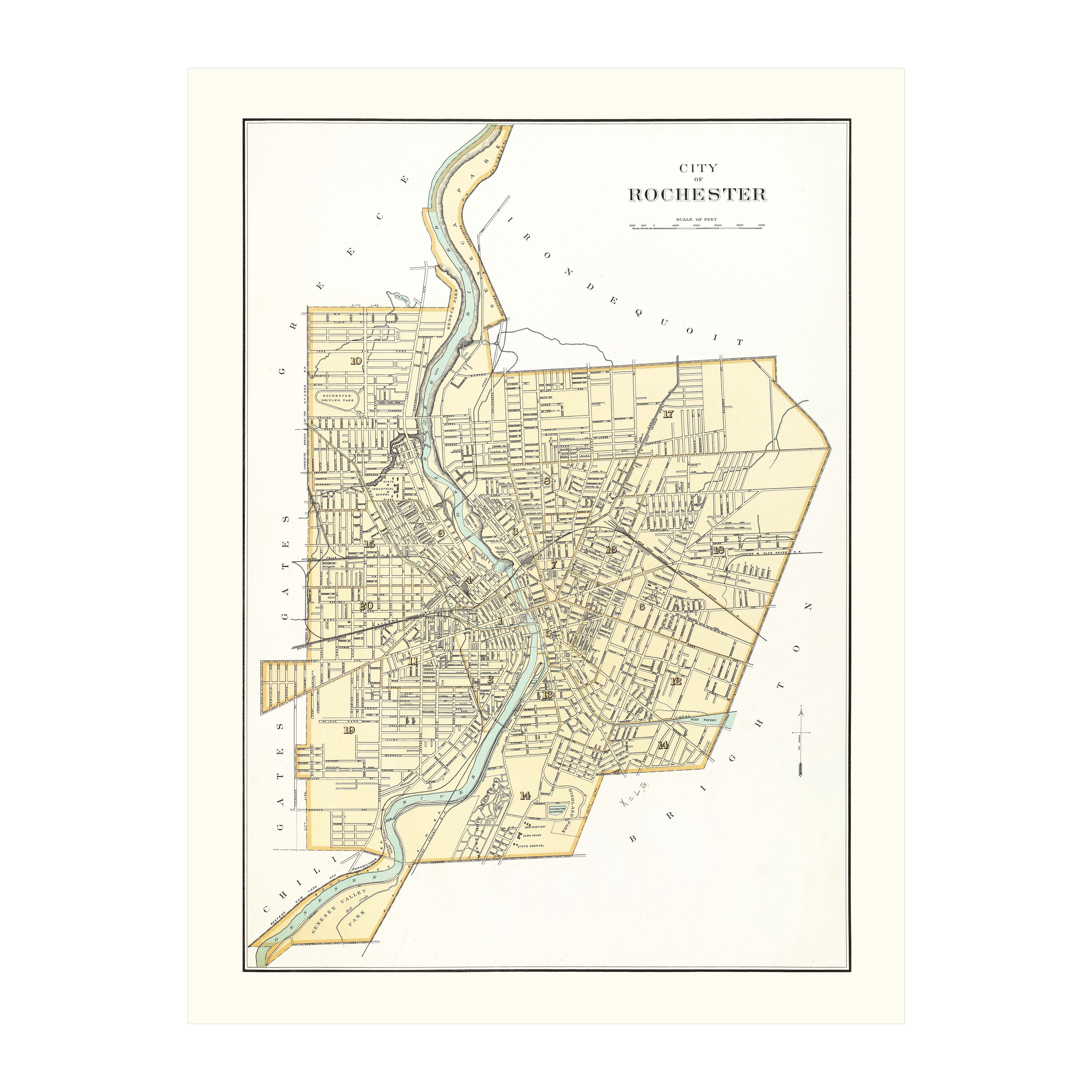 Rochester Art, 1895 Vintage Map of Rochester New York, NY History Wall ...