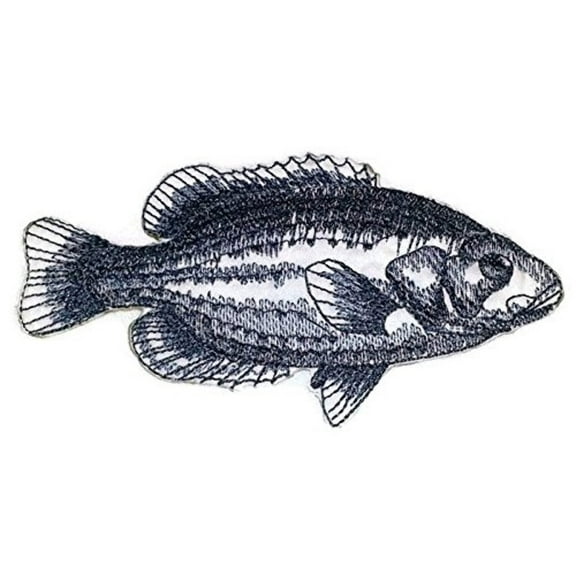 Nature's Bounty Beautiful Custom Fish Sketch [Rock Bass Fish ] Embroidered Iron On/Sew Patch (5" x 2.88") Made in USA