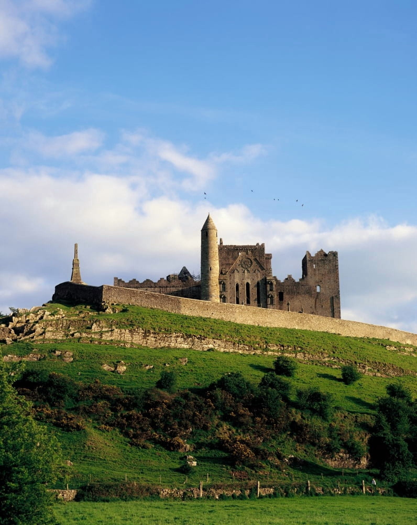 Rock Of Cashel Co Tipperary Ireland Historical Site With Most Buildings From The 12Th And 13Th Century Canvas Art - The Irish Image Collection Design Pics (13 x 17)