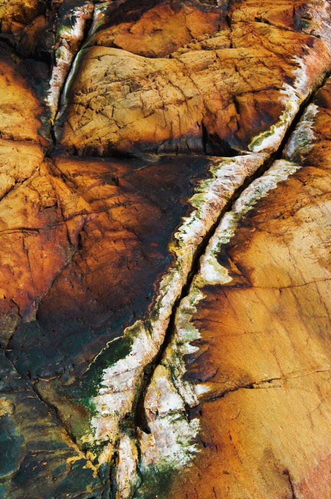 Rock Detail Killarney Provincial Park Ont Canvas Art - Mike Grandmaison Design Pics (12 x 18)