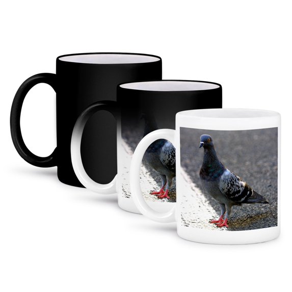 Rock Dove Mug 11oz