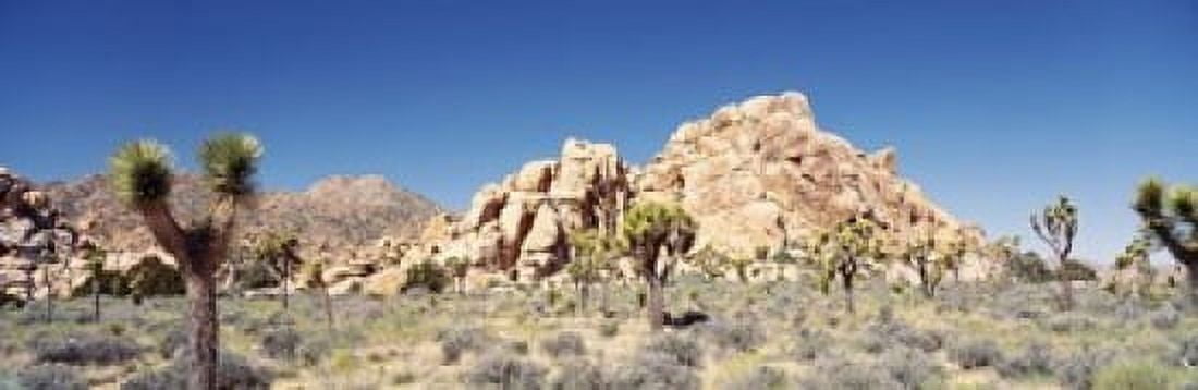Rock Formation In A Arid Landscape Joshua Tree National Monument California USA Canvas Art - Panoramic Images (18 x 6)
