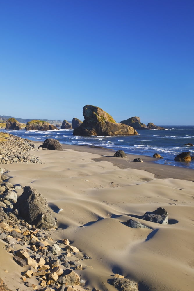 Rock Formations Along The Coast At Cape Sebastian State Park Oregon United States of America Canvas Art - Craig Tuttle Design Pics (24 x 38)