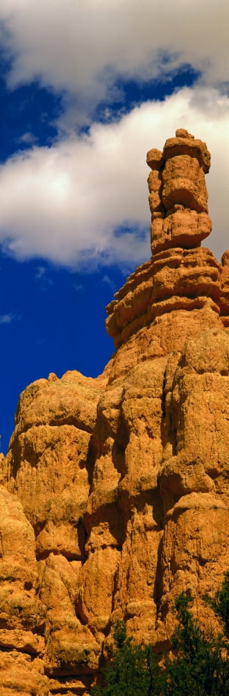 Rock Formations Bryce National Park Utah Canvas Art - Panoramic Images (36 x 12)