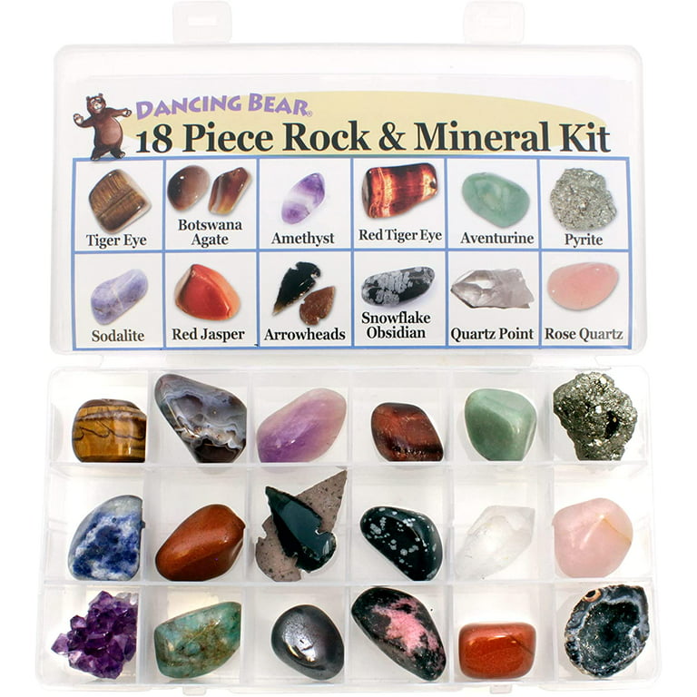 Rock and Mineral Educational Collection & Deluxe Collection Box -18 Pieces  with Description Sheet and Educational Information. Limited Edition,  Geology Gem Kit for Kids with Display Case, Dancing Bear 