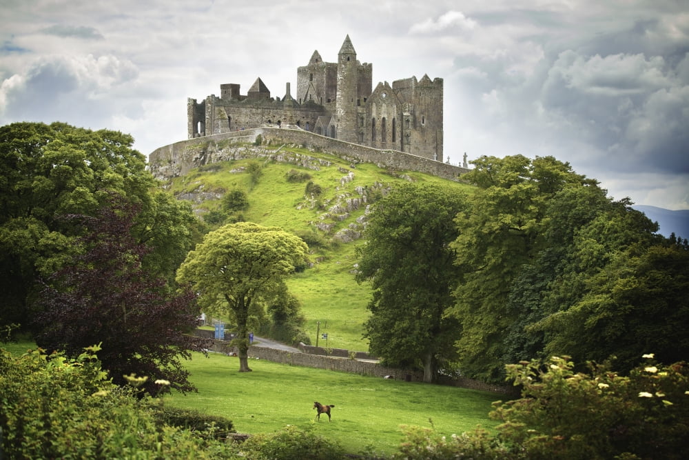 Rock Of Cashel Cashel County Tipperary Ireland Canvas Art - Patrick Swan Design Pics (38 x 24)
