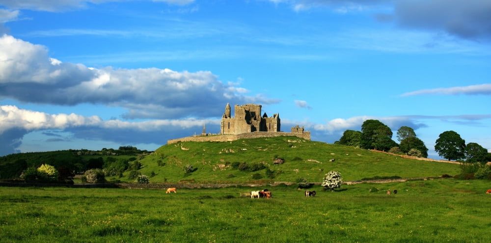 Rock Of Cashel Cashel County Tipperary Ireland Canvas Art - Peter Zoeller Design Pics (44 x 21)