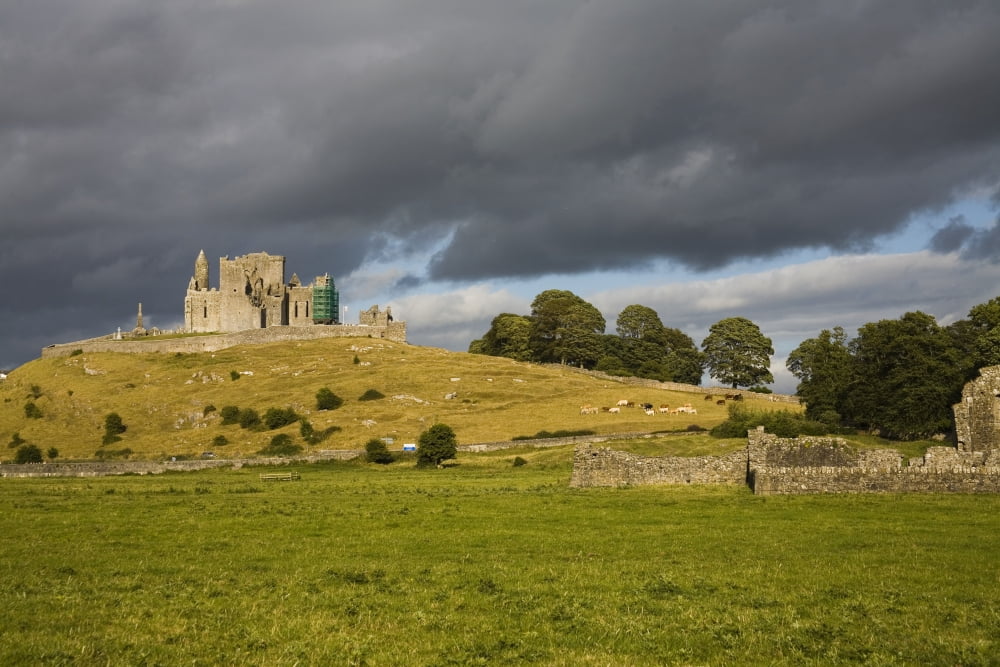 Rock Of Cashel Cashel County Tipperary Ireland Castle On Hill And Abbey Ruins Canvas Art - Richard Cummins  Design Pics (34 x 22)