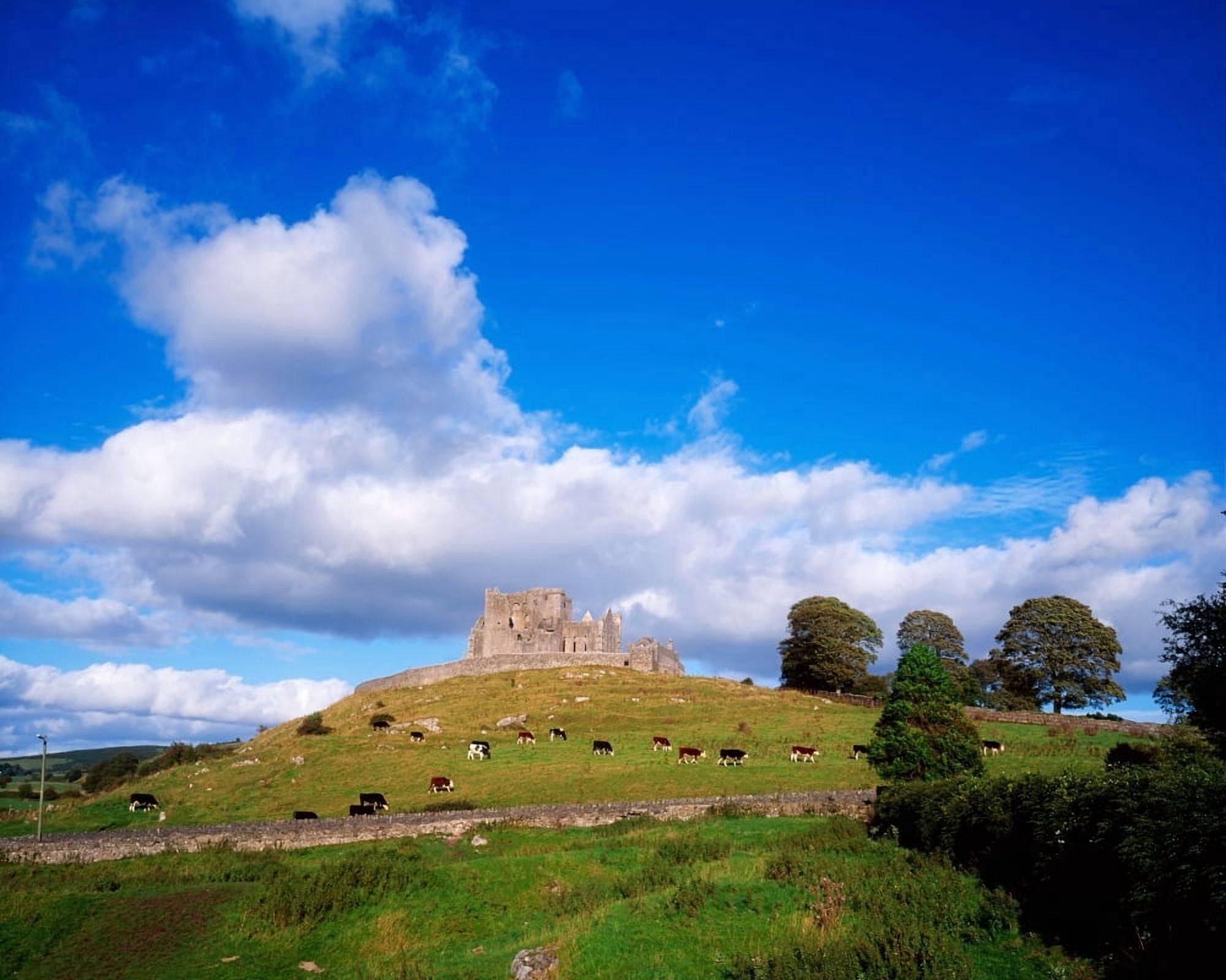Rock Of Cashel Co Tipperary Ireland Canvas Art - The Irish Image Collection Design Pics (17 x 13)