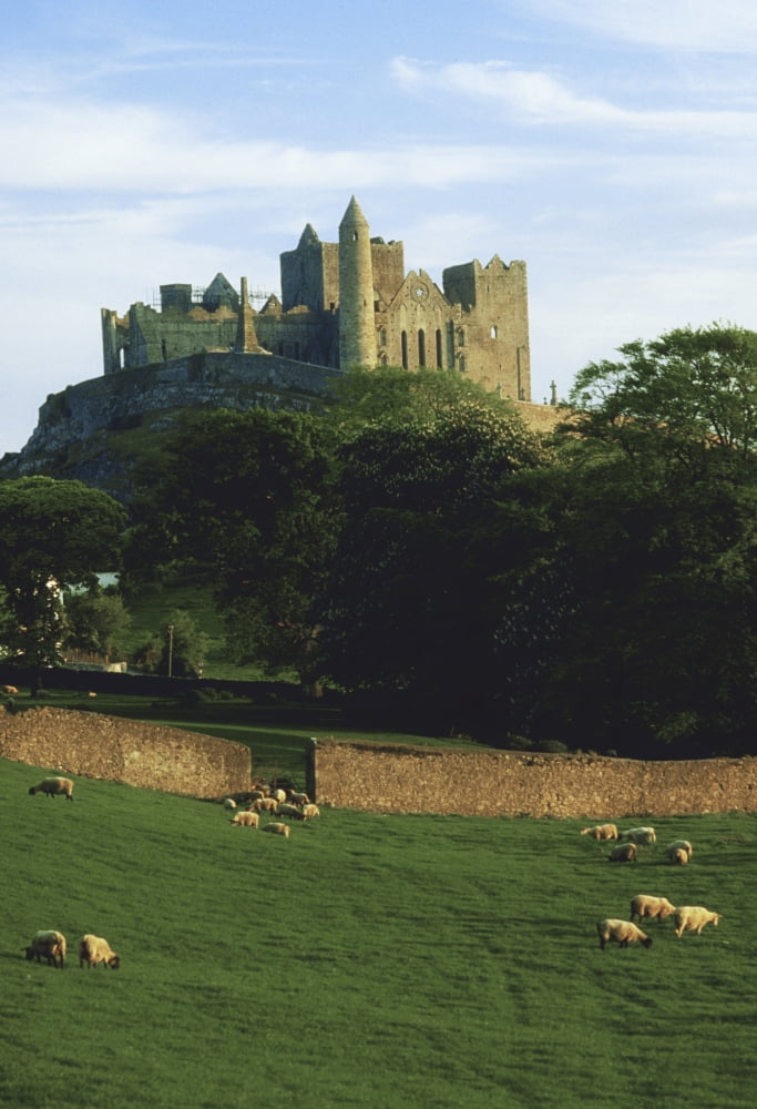 Rock Of Cashel Co Tipperary Ireland Medieval Irish Castle Canvas Art - The Irish Image Collection Design Pics (12 x 18)