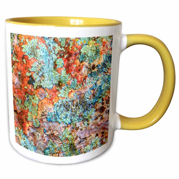 3drose, Rock with Lichen. Lower Deschutes River, Central Oregon, Usa., 11oz Two-tone Yellow Mug