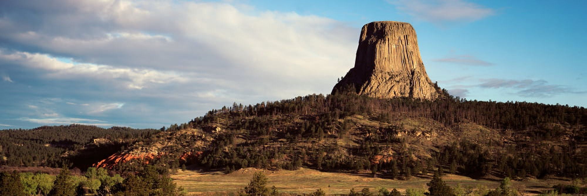 Rock formation Devils Tower Devils Tower National Monument Wyoming USA Canvas Art - Panoramic Images (12 x 36)