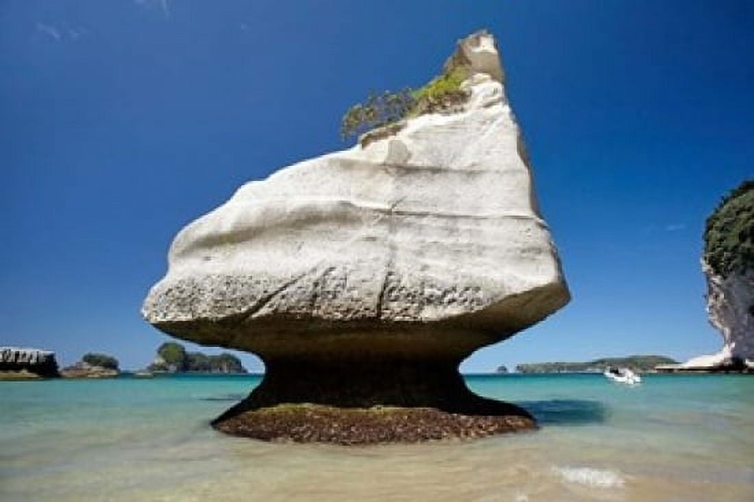 Rock formation Mares Leg Cove North Island New Zealand Canvas Art - David Wall DanitaDelimont (19 x 12)
