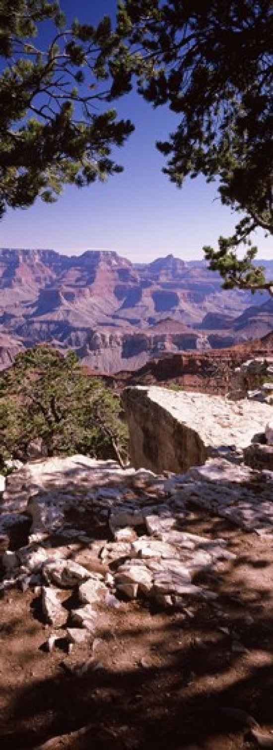 Rock formations Mather Point South Rim Grand Canyon National Park Arizona USA Canvas Art - Panoramic Images (18 x 7)