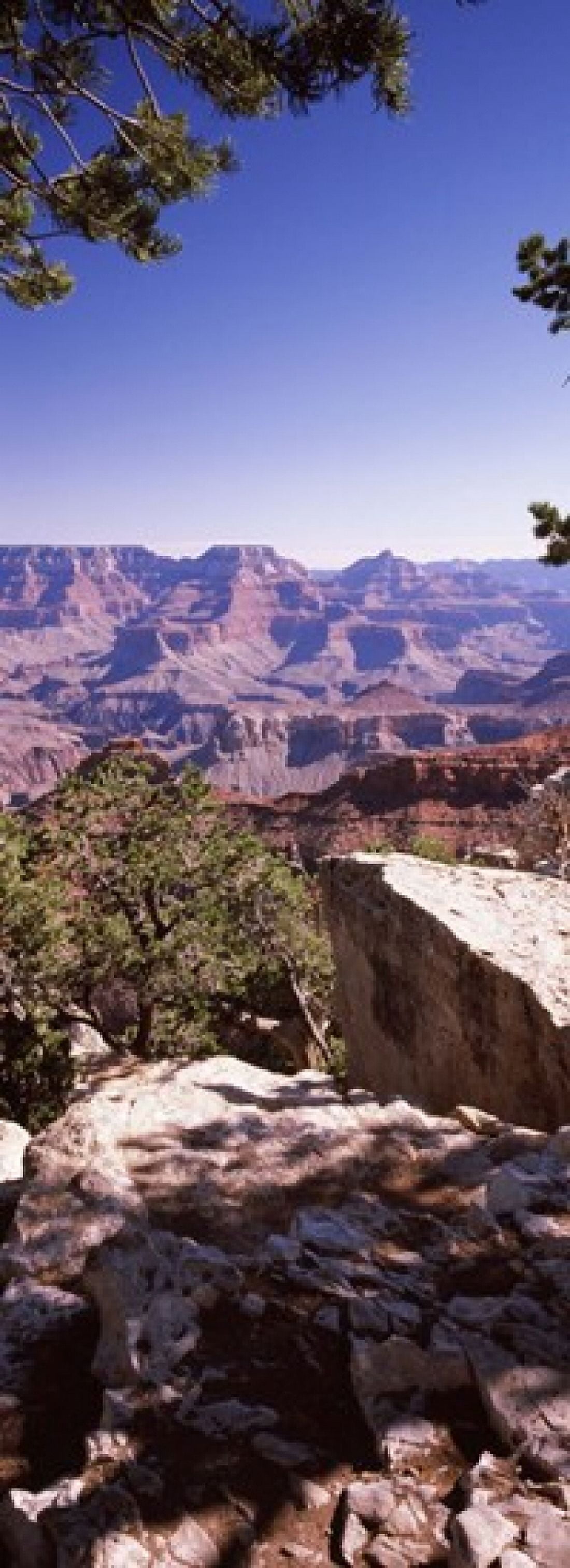 Rock formations Mather Point South Rim Grand Canyon National Park Arizona USA Canvas Art - Panoramic Images (18 x 7)