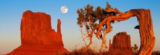 Rock formations Monument Valley Tribal Park Utah Navajo San Juan County Utah USA Canvas Art - Panoramic Images (18 x 7)