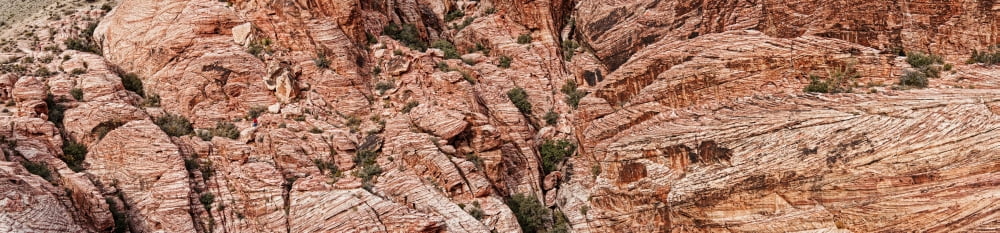 Rock formations Red Rock Canyon National Conservation Area Nevada USA Canvas Art - Panoramic Images (40 x 10)