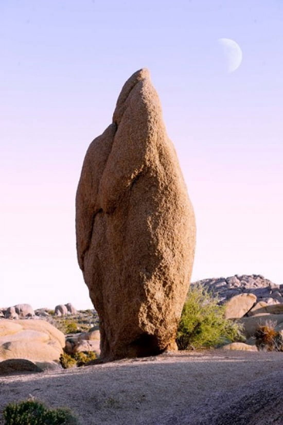 Rock formations at Joshua Tree National Park California USA Canvas Art - Panoramic Images (24 x 36)