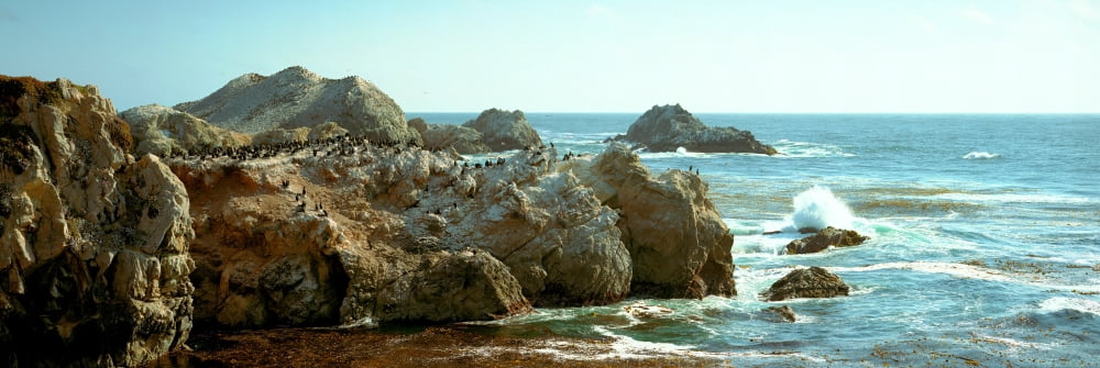 Rock formations at a coast Bird Rock Marin County Point Lobos State Reserve California USA Canvas Art - Panoramic Images (12 x 36)