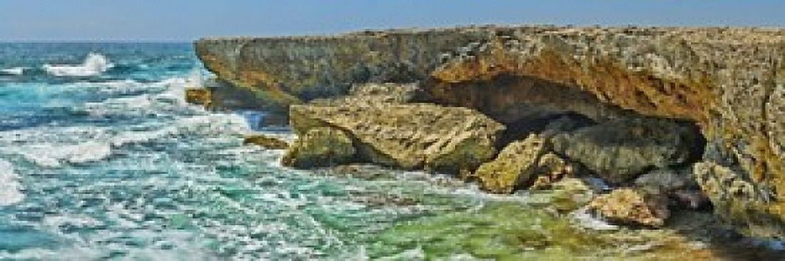 Rock formations at the coast Aruba Canvas Art - Panoramic Images (18 x 6)