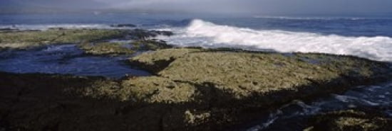 Rock formations at the coast Fernandina Island Galapagos Islands Ecuador Canvas Art - Panoramic Images (36 x 12)
