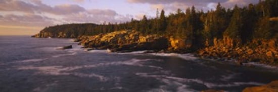 Rock formations at the coast Monument Cove Mount Desert Island Acadia National Park Maine USA Canvas Art - Panoramic Images (36 x 12)