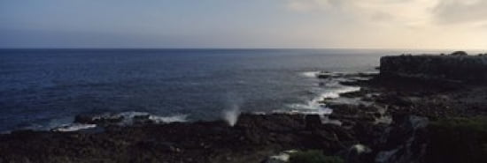 Rock formations at the coast Punta Suarez Espanola Island Galapagos Islands Ecuador Canvas Art - Panoramic Images (36 x 12)