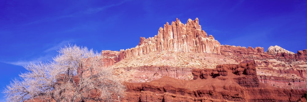 Rock formations in Capitol Reef National Park against blue sky Utah USA Canvas Art - Panoramic Images (36 x 12)