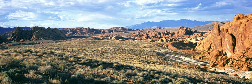 Rock formations in a desert Valley of Fire State Park Nevada USA Canvas Art - Panoramic Images (36 x 12)
