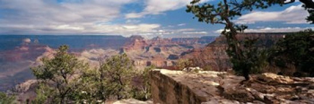 Rock formations in a national park Mather Point Grand Canyon National Park Arizona USA Canvas Art - Panoramic Images (18 x 6)