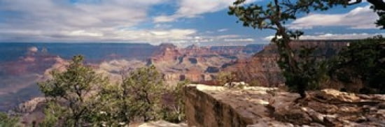 Rock formations in a national park Mather Point Grand Canyon National Park Arizona USA Canvas Art - Panoramic Images (36 x 12)