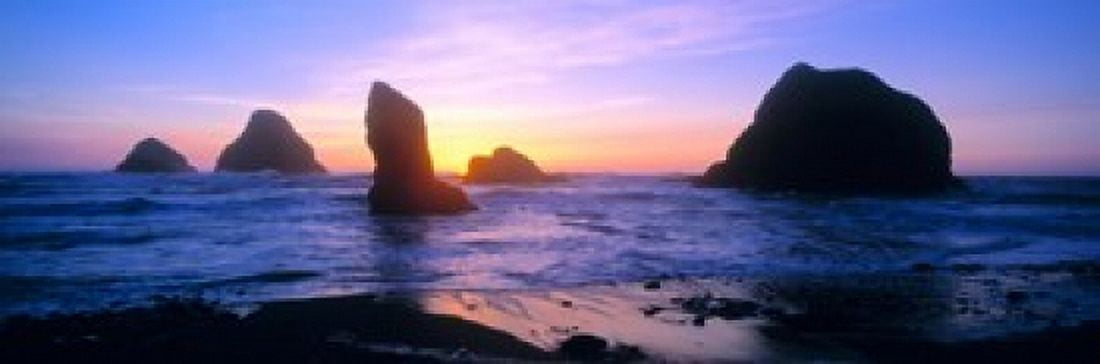 Rock formations in the Pacific Ocean Oregon Coast Oregon USA Canvas Art - Panoramic Images (36 x 12)