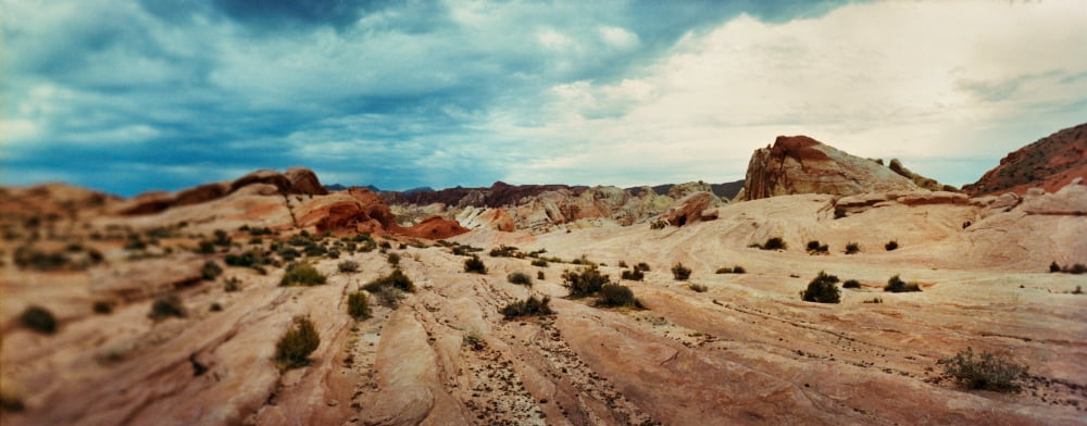 Rock formations in the Valley of Fire State Park Moapa Valley Nevada USA Canvas Art - Panoramic Images (12 x 30)