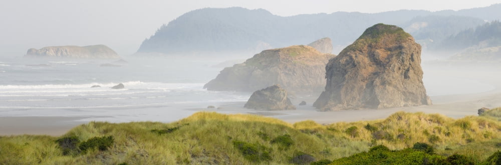 Rock formations in the ocean Oregon Coast Myers Creek Beach Pistol River State Park Oregon USA Canvas Art - Panoramic Images (36 x 12)
