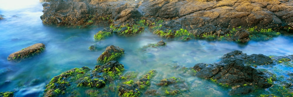 Rock formations in the sea Bird Rock La Jolla San Diego California USA Canvas Art - Panoramic Images (36 x 12)