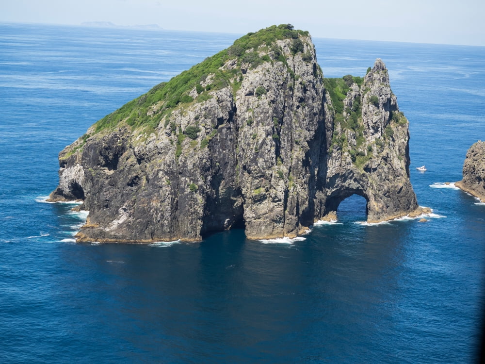Rock formations in the sea Motukokako Island Bay of Islands Northland North Island New Zealand Canvas Art - Panoramic Images (18 x 24)