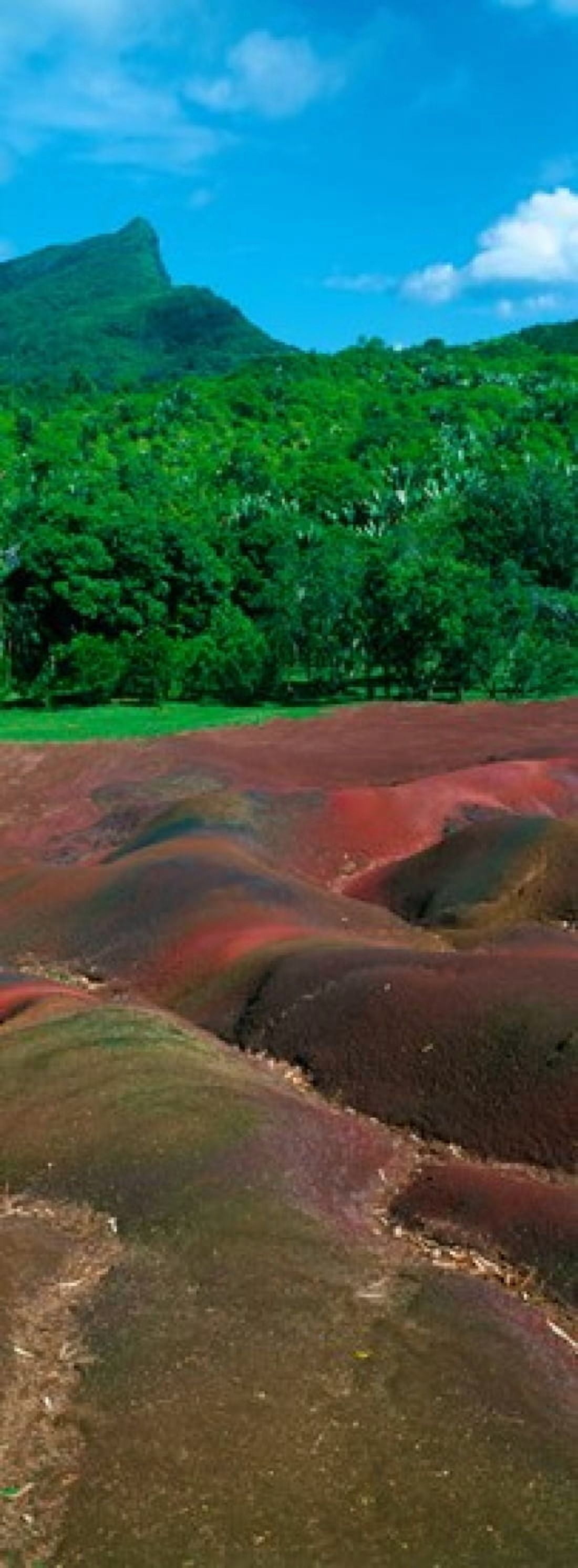 Rock formations on a landscape Chamarel Coloured Earths Chamarel Mauritius island Mauritius Stretched Canvas - Panoramic Images (36 x 13)